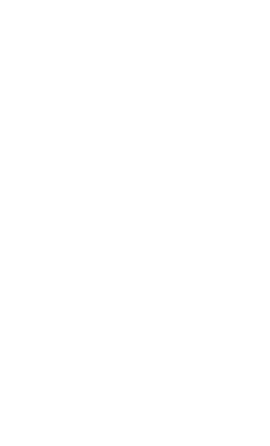 Ornamento decorativo derecho